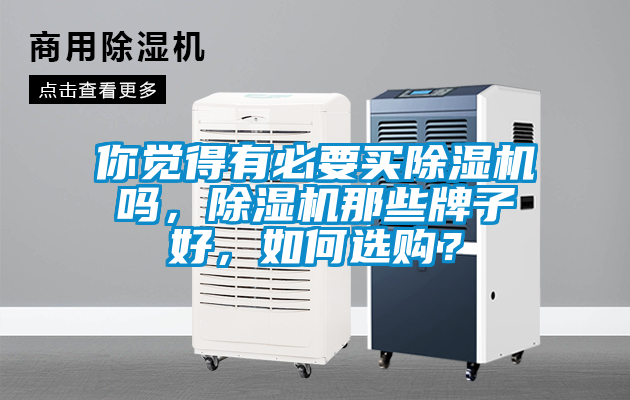 你覺(jué)得有必要買(mǎi)除濕機嗎，除濕機那些牌子好，如何選購？