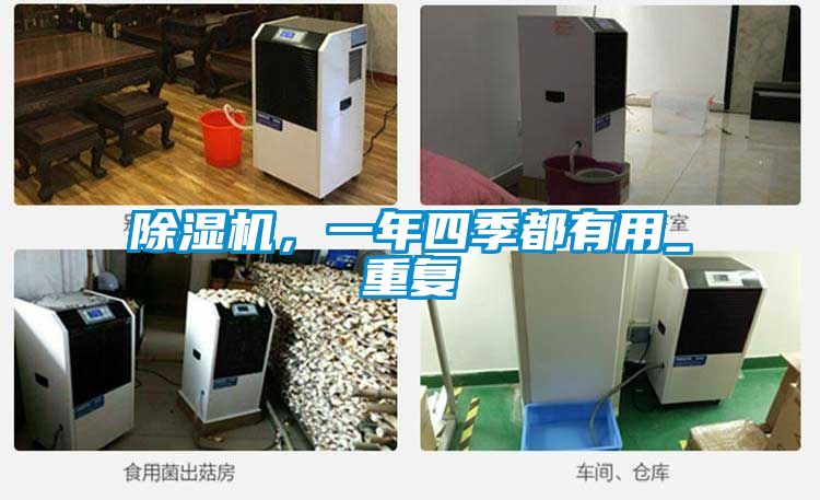 除濕機，一年四季都有用_重復