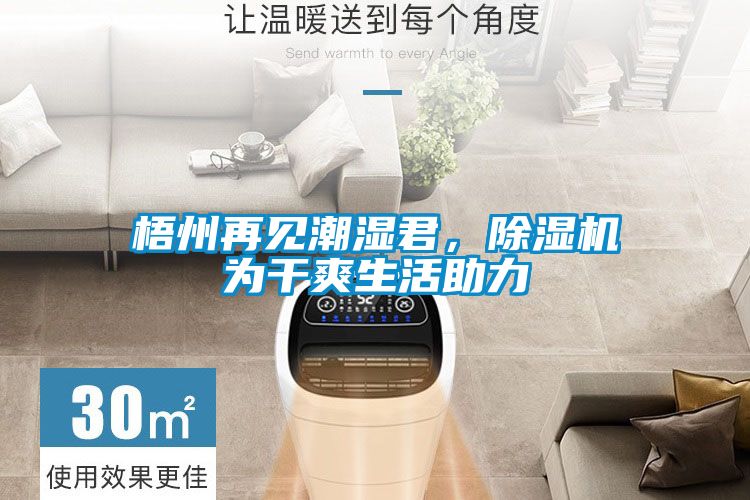 梧州再見(jiàn)潮濕君，除濕機為干爽生活助力