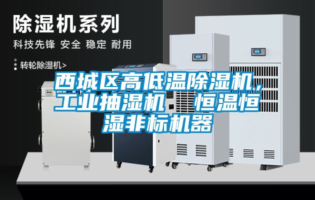 西城區高低溫除濕機，工業(yè)抽濕機  恒溫恒濕非標機器