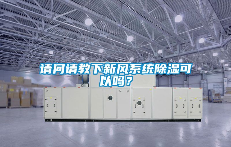 請問(wèn)請教下新風(fēng)系統除濕可以嗎？