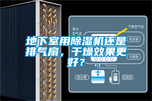 地下室用除濕機還是排氣扇，干燥效果更好？