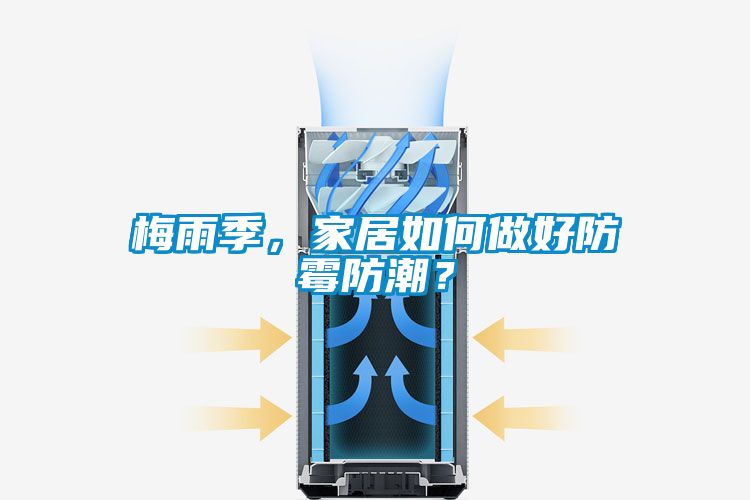 梅雨季，家居如何做好防霉防潮？