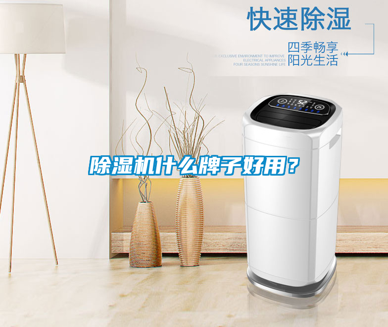 除濕機什么牌子好用？