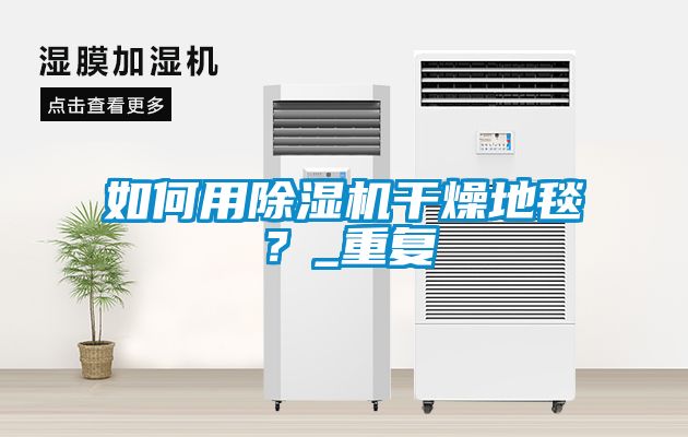 如何用除濕機干燥地毯？_重復