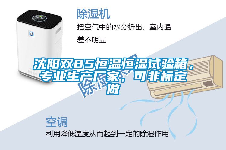 沈陽(yáng)雙85恒溫恒濕試驗箱，專(zhuān)業(yè)生產(chǎn)廠(chǎng)家，可非標定做