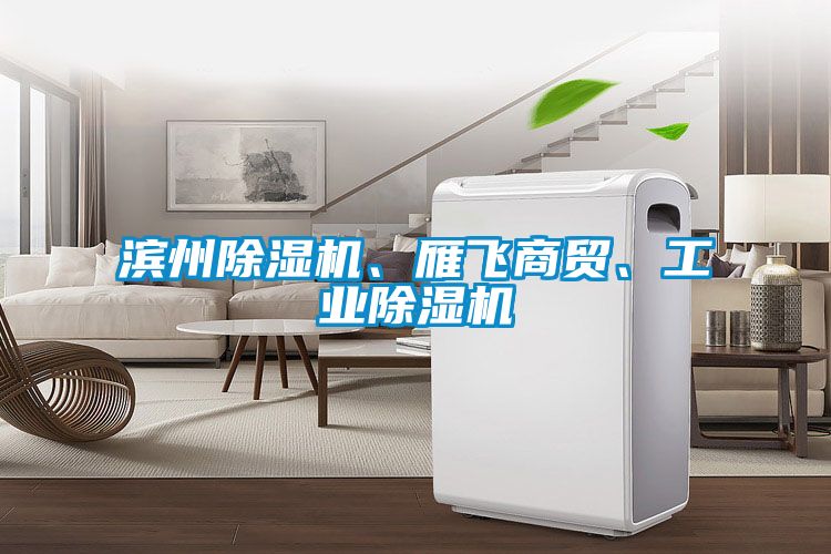 濱州除濕機、雁飛商貿、工業(yè)除濕機