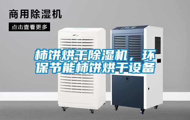 柿餅烘干除濕機，環(huán)保節能柿餅烘干設備