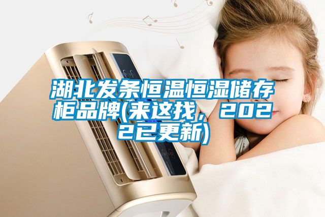湖北發(fā)條恒溫恒濕儲存柜品牌(來(lái)這找，2022已更新)