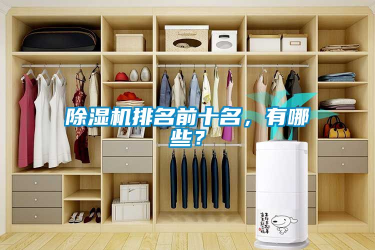 除濕機排名前十名，有哪些？