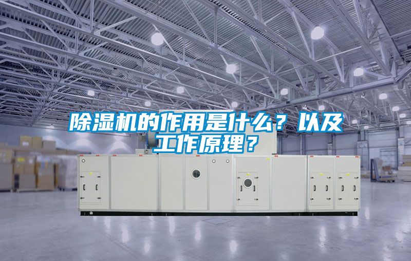 除濕機的作用是什么？以及工作原理？