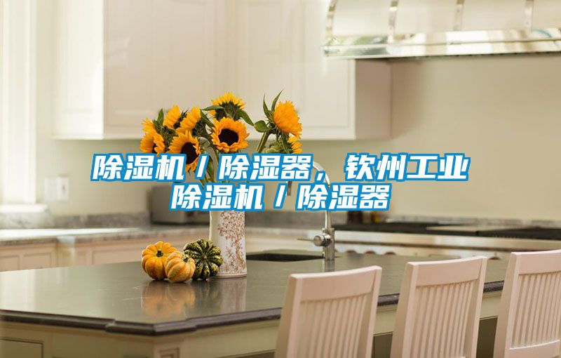 除濕機／除濕器，欽州工業(yè)除濕機／除濕器