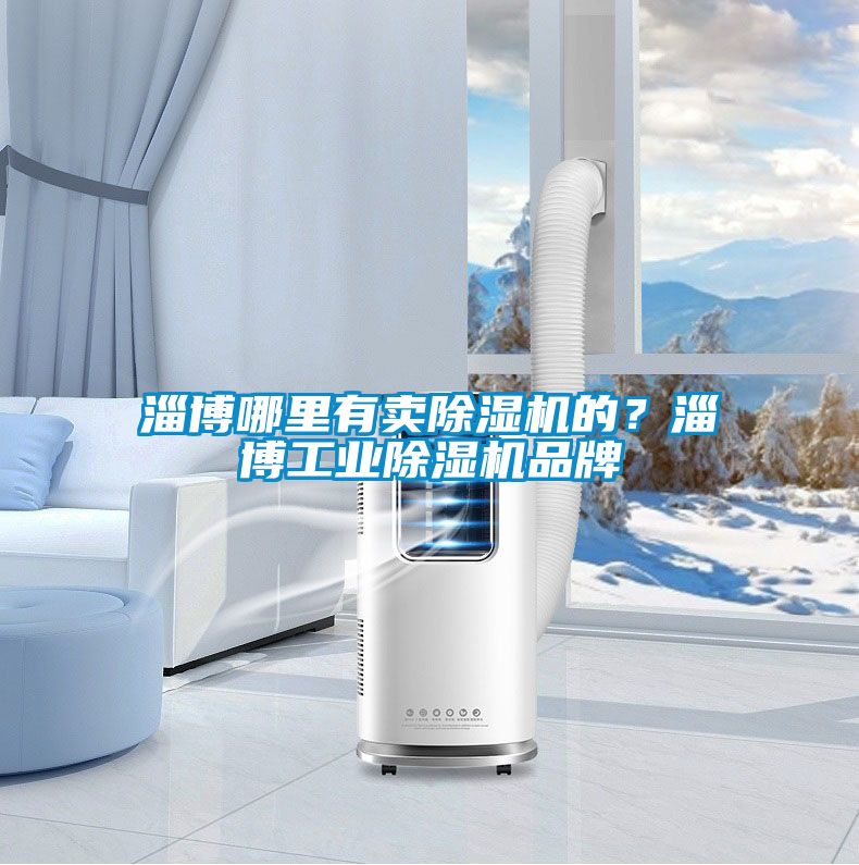 淄博哪里有賣(mài)除濕機的？淄博工業(yè)除濕機品牌