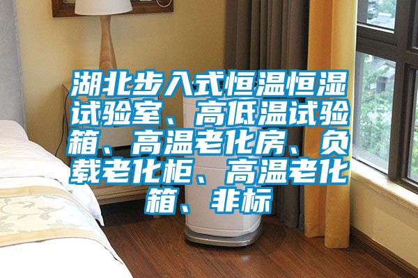 湖北步入式恒溫恒濕試驗室、高低溫試驗箱、高溫老化房、負載老化柜、高溫老化箱、非標