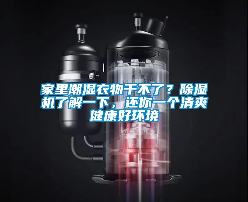 家里潮濕衣物干不了？除濕機了解一下，還你一個(gè)清爽健康好環(huán)境