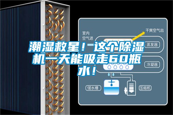 潮濕救星！這個(gè)除濕機一天能吸走60瓶水！
