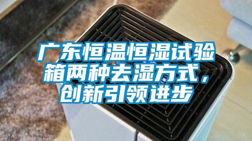 廣東恒溫恒濕試驗箱兩種去濕方式，創(chuàng  )新引領(lǐng)進(jìn)步