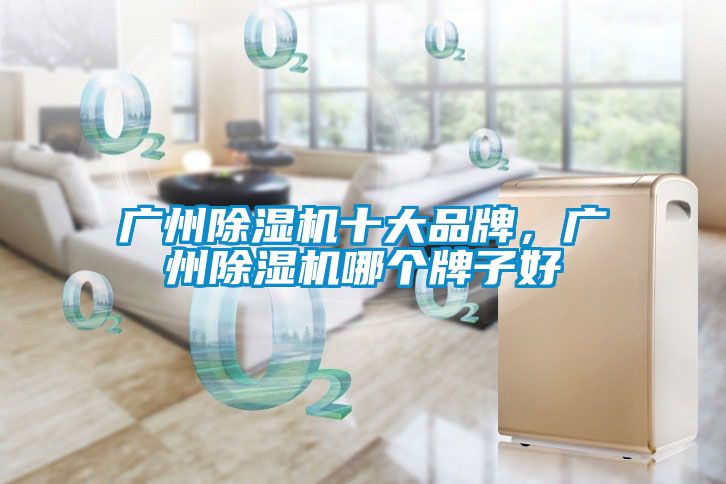 廣州除濕機十大品牌，廣州除濕機哪個(gè)牌子好