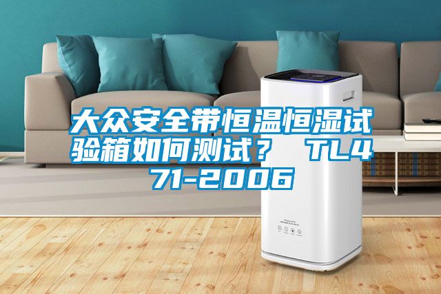 大眾安全帶恒溫恒濕試驗箱如何測試？ TL471-2006