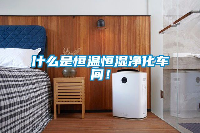 什么是恒溫恒濕凈化車(chē)間！