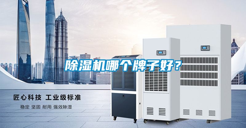 除濕機哪個(gè)牌子好？