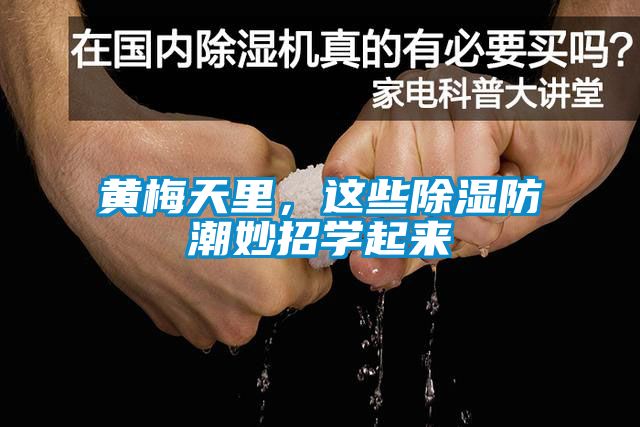 黃梅天里，這些除濕防潮妙招學(xué)起來(lái)