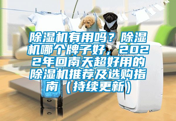 除濕機有用嗎？除濕機哪個(gè)牌子好，2022年回南天超好用的除濕機推薦及選購指南（持續更新）