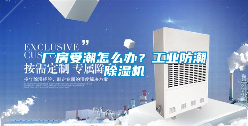 廠(chǎng)房受潮怎么辦？工業(yè)防潮除濕機