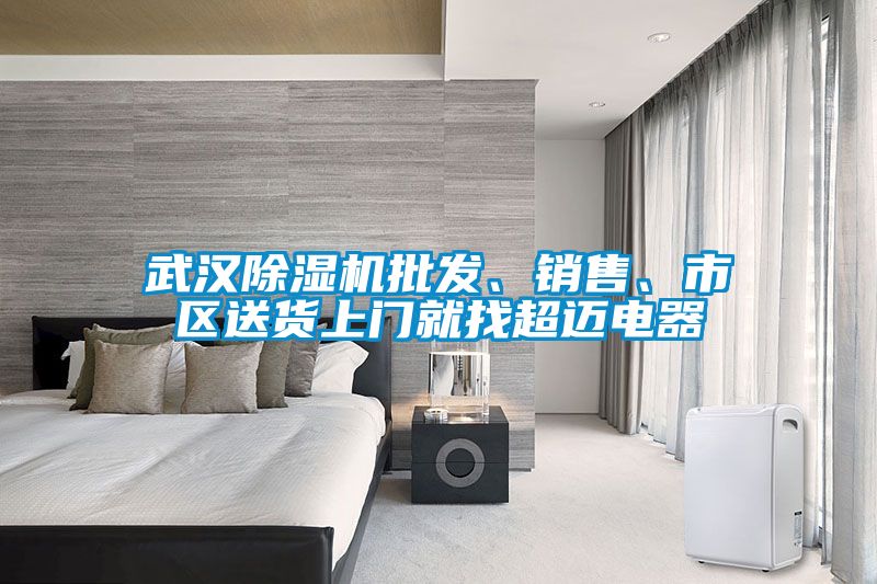 武漢除濕機批發(fā)、銷(xiāo)售、市區送貨上門(mén)就找超邁電器