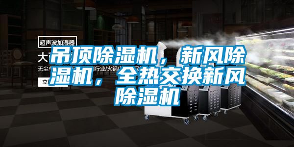 吊頂除濕機，新風(fēng)除濕機，全熱交換新風(fēng)除濕機