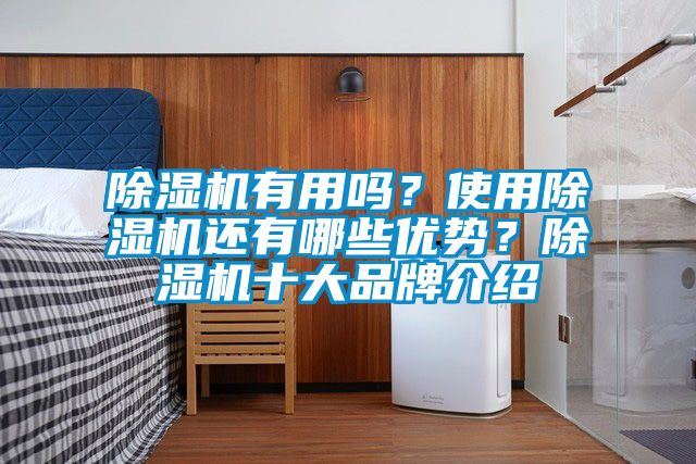 除濕機有用嗎？使用除濕機還有哪些優(yōu)勢？除濕機十大品牌介紹