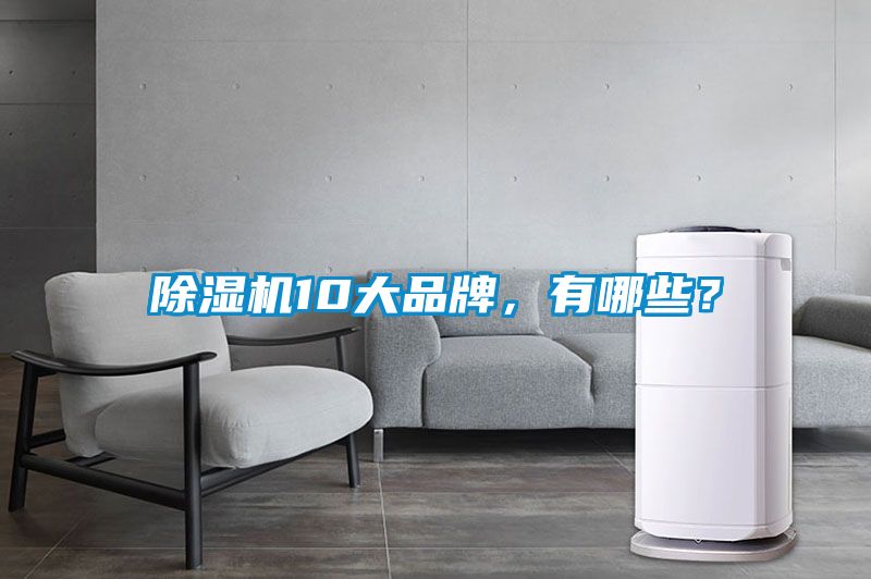 除濕機10大品牌，有哪些？