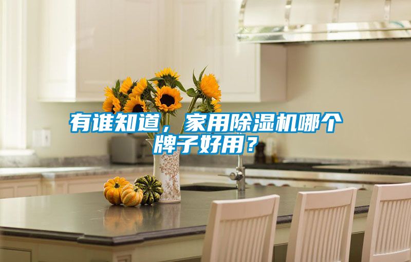 有誰(shuí)知道，家用除濕機哪個(gè)牌子好用？