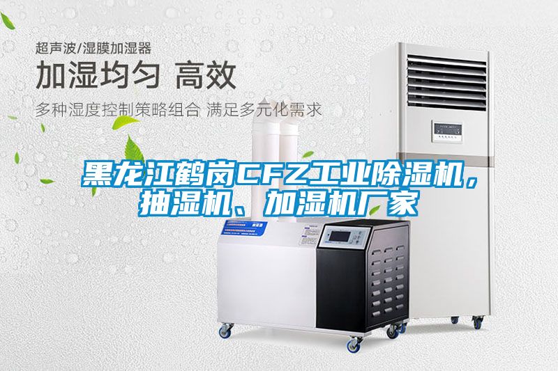 黑龍江鶴崗CFZ工業(yè)除濕機，抽濕機、加濕機廠(chǎng)家