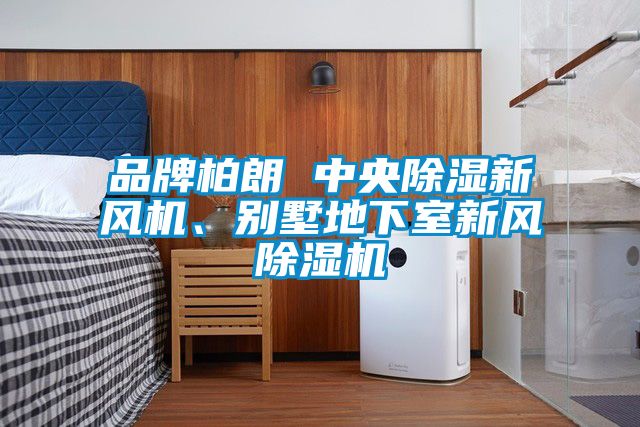 品牌柏朗 中央除濕新風(fēng)機、別墅地下室新風(fēng)除濕機
