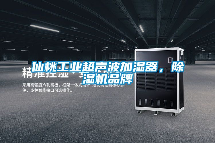 仙桃工業(yè)超聲波加濕器，除濕機品牌