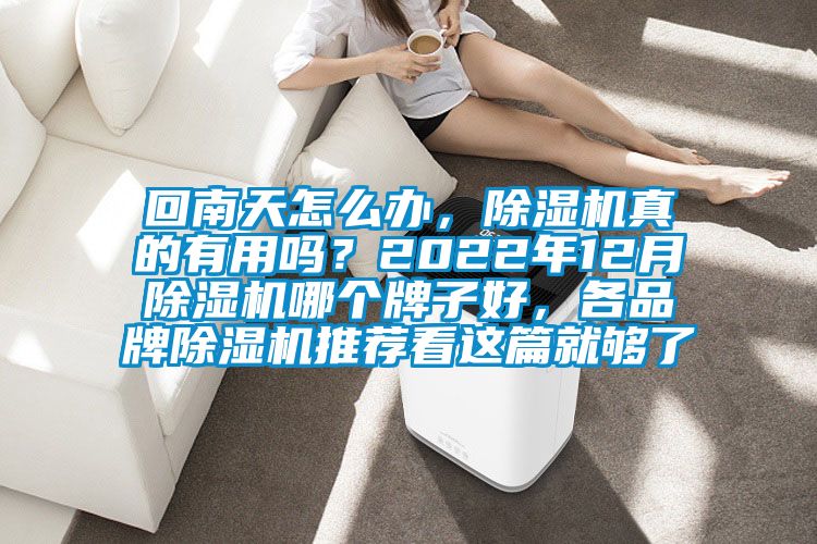 回南天怎么辦，除濕機真的有用嗎？2022年12月除濕機哪個(gè)牌子好，各品牌除濕機推薦看這篇就夠了