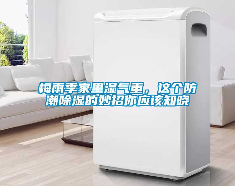 梅雨季家里濕氣重，這個(gè)防潮除濕的妙招你應該知曉