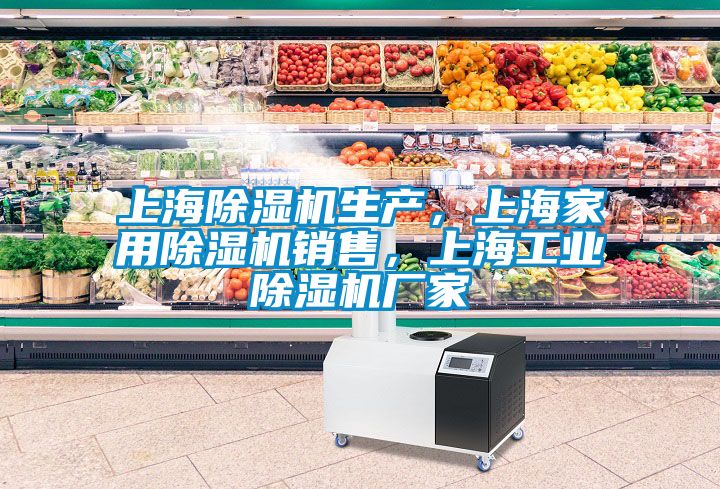 上海除濕機生產(chǎn)，上海家用除濕機銷(xiāo)售，上海工業(yè)除濕機廠(chǎng)家