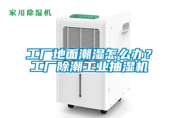 工廠(chǎng)地面潮濕怎么辦？工廠(chǎng)除潮工業(yè)抽濕機