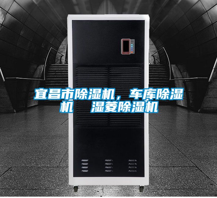 宜昌市除濕機，車(chē)庫除濕機  濕菱除濕機