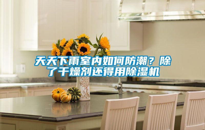 天天下雨室內如何防潮？除了干燥劑還得用除濕機