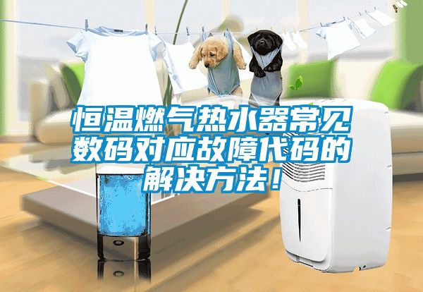 恒溫燃氣熱水器常見(jiàn)數碼對應故障代碼的解決方法！