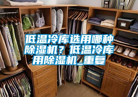 低溫冷庫選用哪種除濕機？低溫冷庫用除濕機_重復