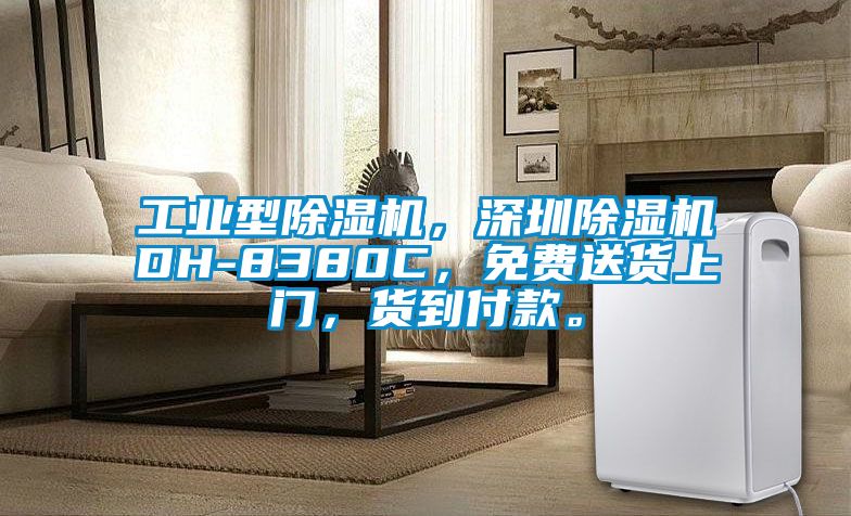 工業(yè)型除濕機，深圳除濕機DH-8380C，免費送貨上門(mén)，貨到付款。