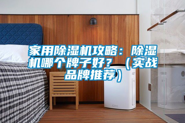 家用除濕機攻略：除濕機哪個(gè)牌子好？（實(shí)戰品牌推薦）