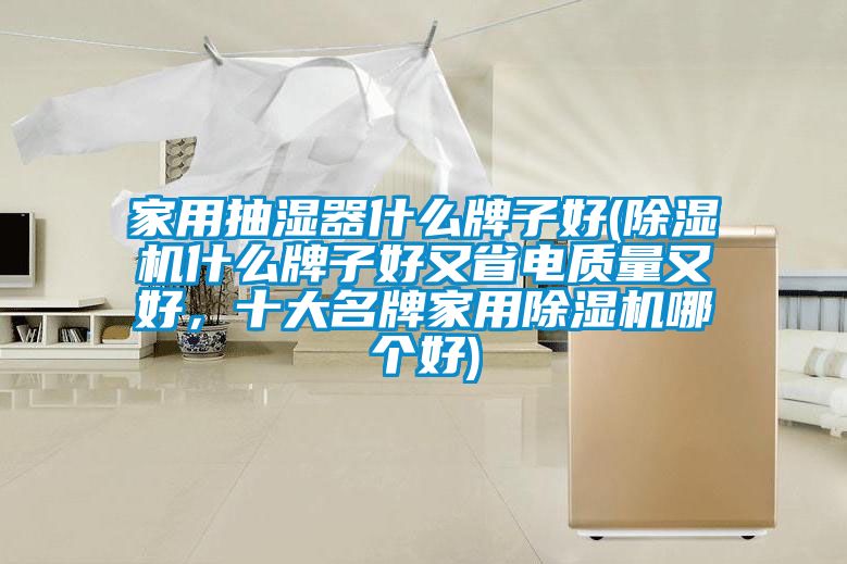 家用抽濕器什么牌子好(除濕機什么牌子好又省電質(zhì)量又好，十大名牌家用除濕機哪個(gè)好)