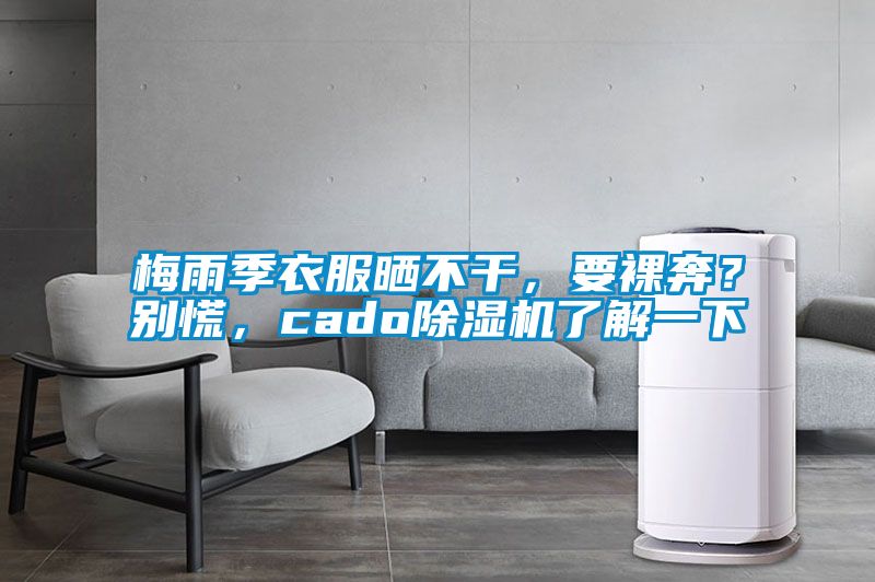 梅雨季衣服曬不干，要裸奔？別慌，cado除濕機了解一下