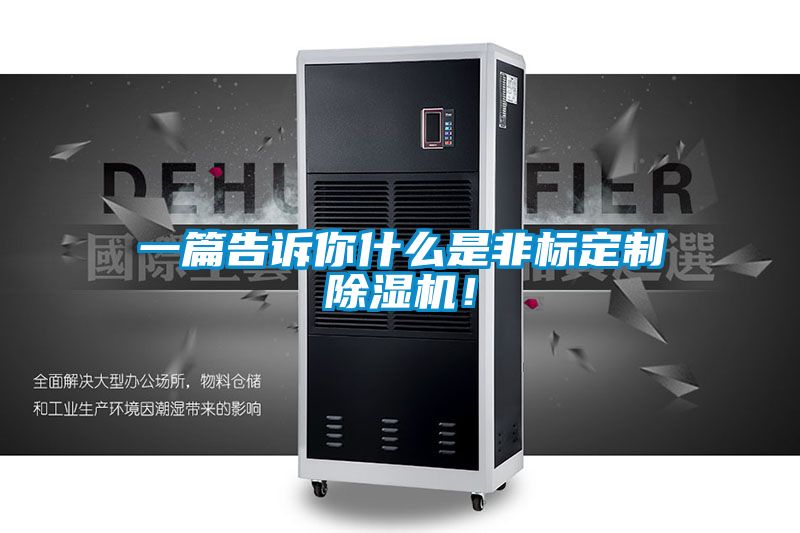 一篇告訴你什么是非標定制除濕機！
