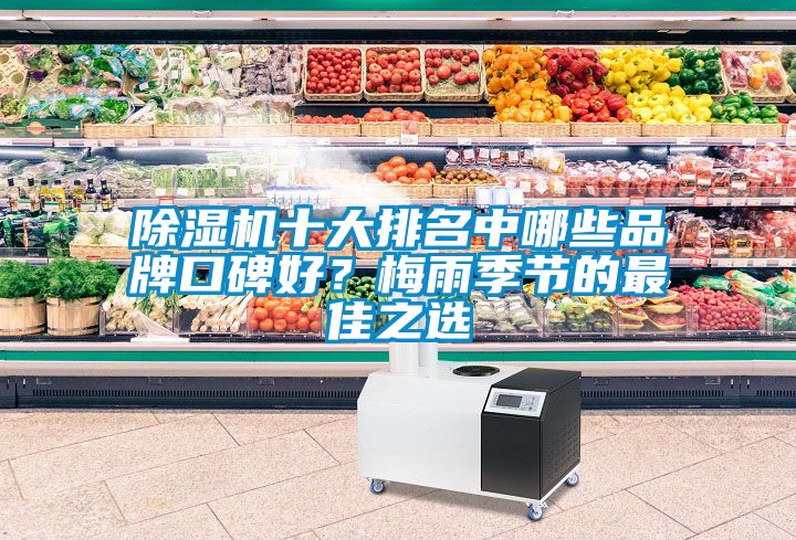 除濕機十大排名中哪些品牌口碑好？梅雨季節的最佳之選